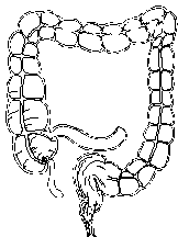 GIT%20(1).gif