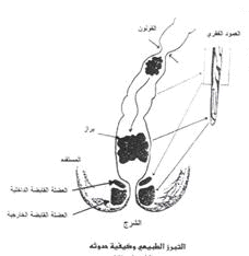 GIT%20(2).gif
