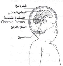 Hydr%20%282%29.gif