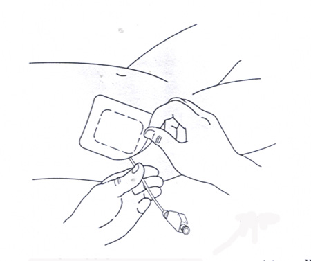 T4.jpg