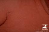 اضغط على الصورة لرؤيتها بالحجم الطبيعي