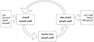الجهاز التنفسي بين الصحة والربو Tanf%20%282%29