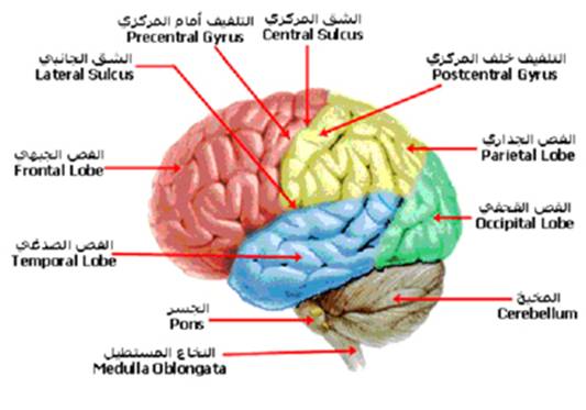 A-cns%20%282%29.jpg