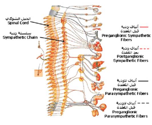 A-cns%20%289%29.jpg