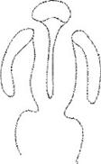 cleft-B%20(10).jpg