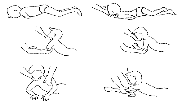 CP_Kuteeb%20%283%29.gif