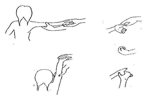 CP_Kuteeb%20%287%29.gif