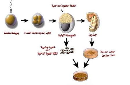 خليجية